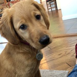 Meet your Posher, Jenny